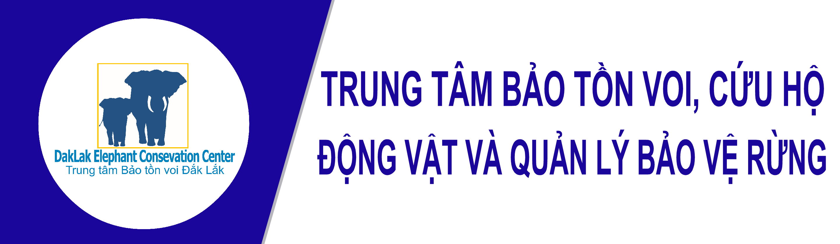 Trung tâm Bảo tồn voi, cứu hộ động vật và Quản lý 